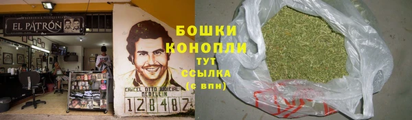 молекула духа Заволжье