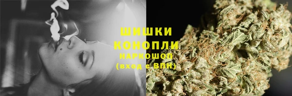 молекула духа Заволжье