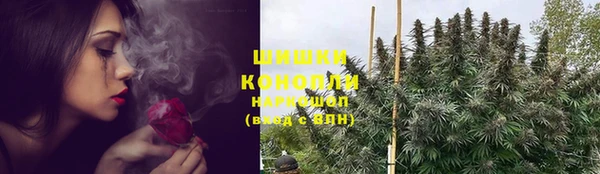 синтетический гашиш Заводоуковск