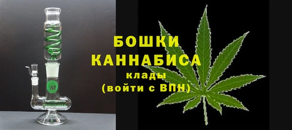 молекула духа Заволжье