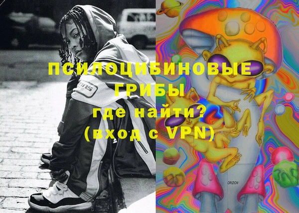 молекула духа Заволжье