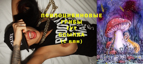 MDMA Заволжск