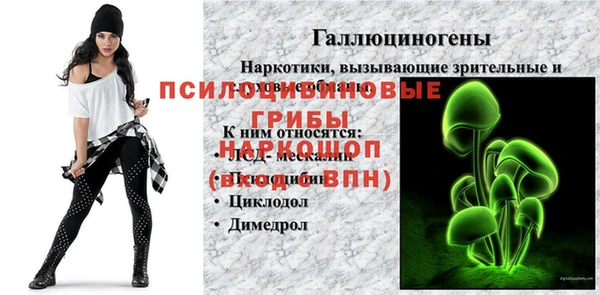 молекула духа Заволжье