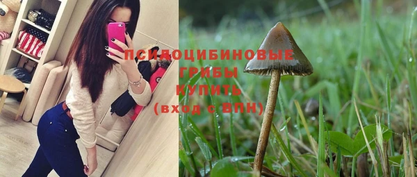 молекула духа Заволжье