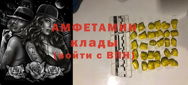 молекула духа Заволжье