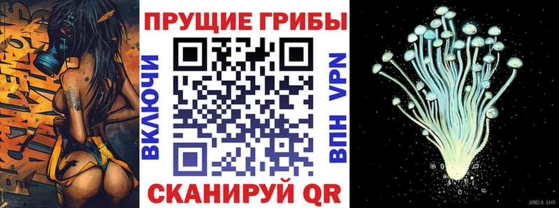кракен Сысерть Псилоцибиновые грибы GOLDEN TEACHER